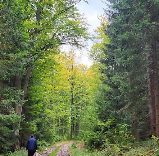 Komfortowy Dom Z Bali Kolo Zielenca Z Widokiem Na Gory *